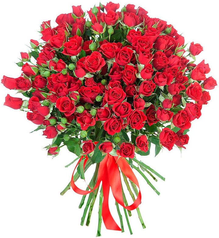 Кустовые красные розы Кустовые красные розы